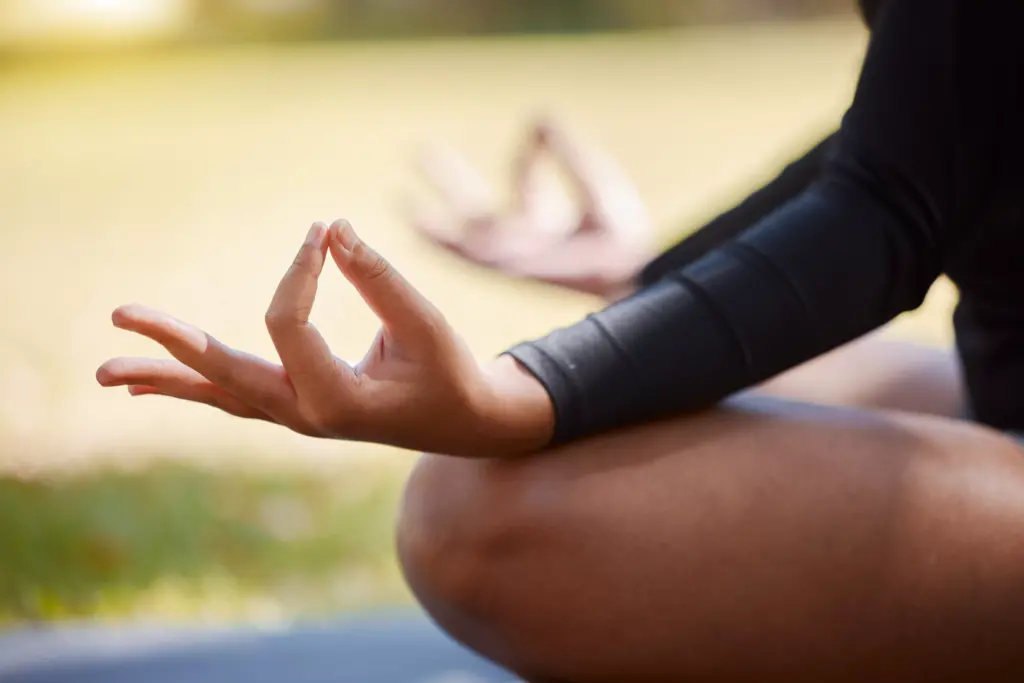 Mudra Stato Cerebrale Beta - Chakra Ajna chakra del terzo occhio?